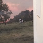 Picture 10 of 10