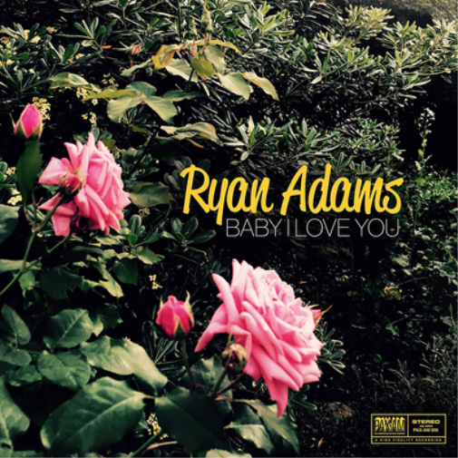Ryan Adams Baby I Love You (Vinyl LP) 7" Single