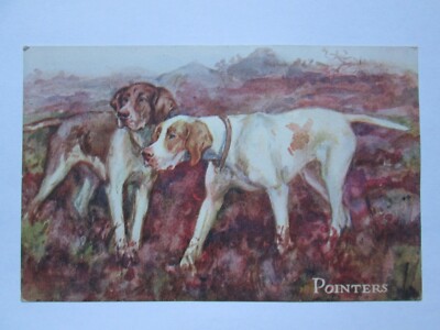 ''Sportliche Hunde'' Zeiger Vintage Hunde Postkarte K24