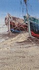Foto 5 di 12