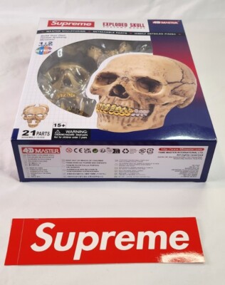 4D Supreme Human Skull With Gold Grill FW2023 Model / Puzzle NEW