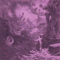 Devil Master Ecstasies Of Never Ending Night (Vinyl)