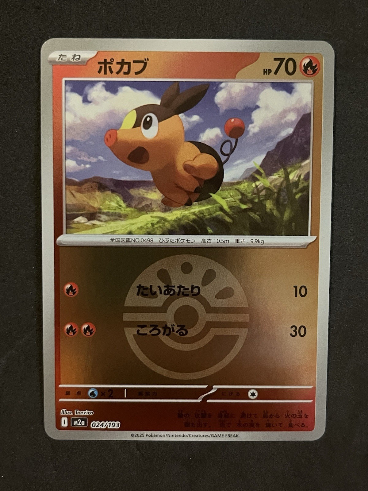 Tepig Reverse Friend Ball Pattern 024/193 Pokemon Mega Dream Japanese NM