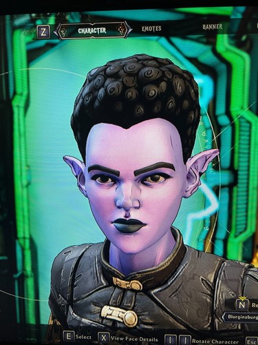 PS/XBOX/PC Tiny Tina's Wonderlands TODOS LOS ACCESORIOS DE CABEZA COSMÉTICOS ENGRANAJES SKINS DLC - Imagen 18 de 55