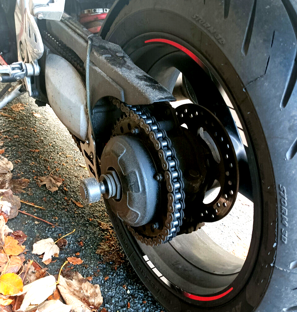 Triumph Daytona 595 T595 955i Hinterachse Crash Pilz Protektoren
