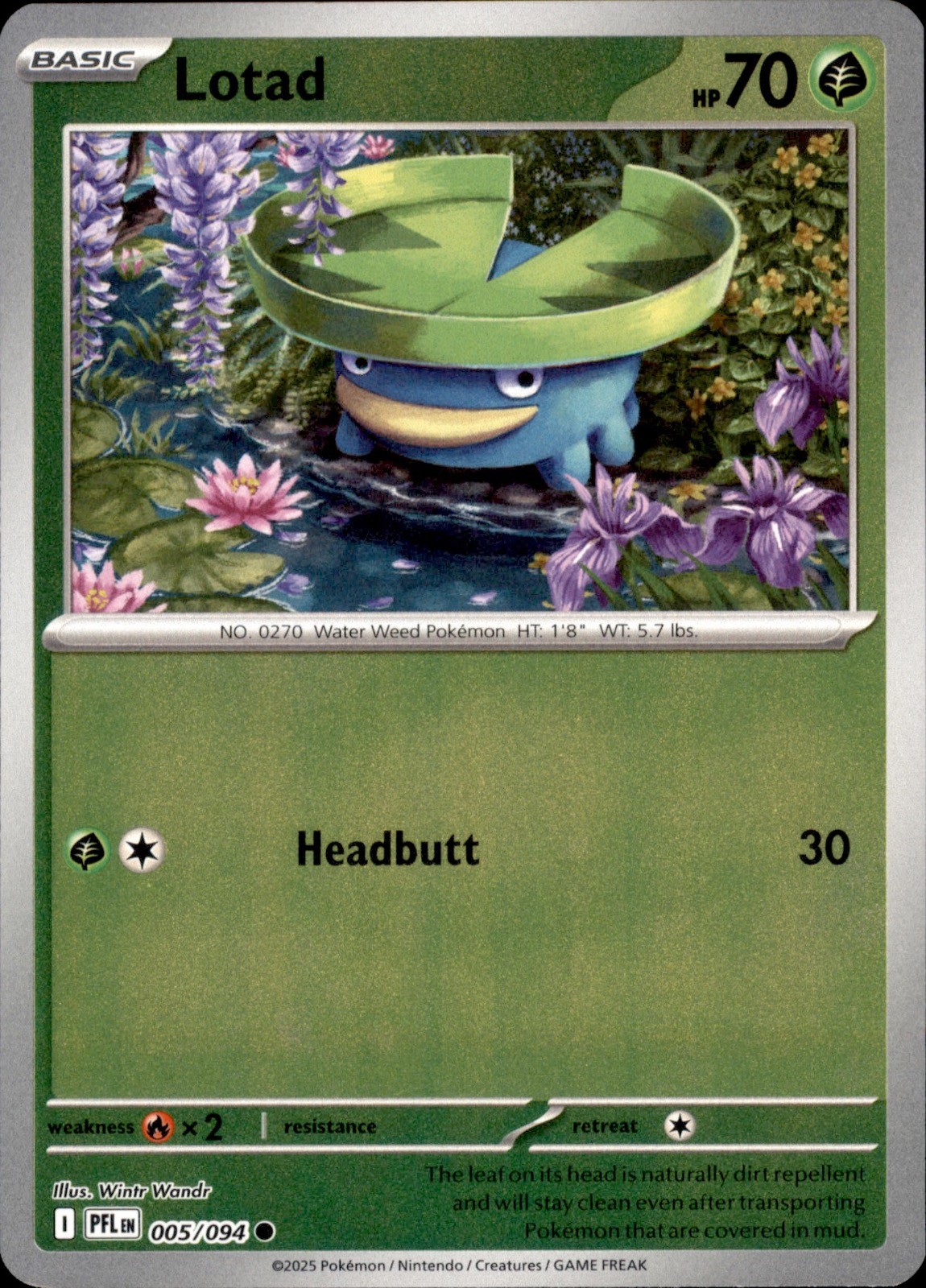 Lotad 005/094 Common Phantasmal Flames Pokemon Reverse Holo Lightly Played