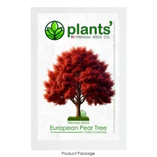 European Pear Tree | Premium Seeds | Pyrus communis 'Fall' | Plants'®