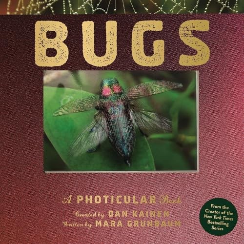 Bugs: A Photicular Book by Dan Kainen - Image 5