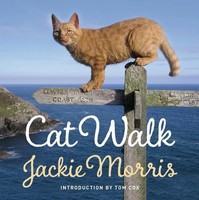 Cat Walk | Jackie Morris | Englisch | Buch | Gebunden | 2015 | Graffeg Limited
