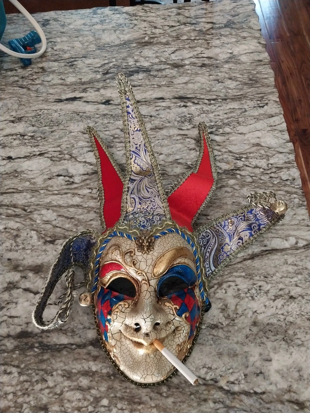 Marti Gras Carnival Mask