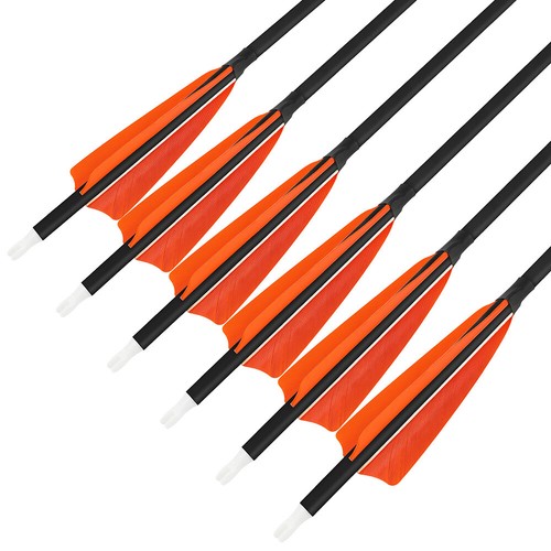 28" 30" 31" Carbon Arrows SP500 Feathers Screw Tips Recurve Compound Bow Hunting - Picture 18 of 36
