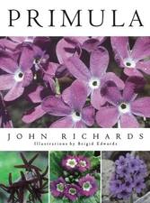 Primula - hardcover John Richards
