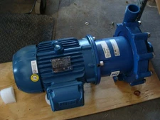 FINISH THOMPSON MAGNETIC CHEMICAL PUMP DB22P-4-M213 W/WEG GENERAL PURPOSE MOTOR