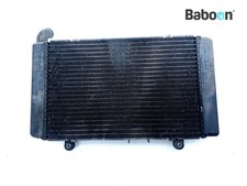Radiator Honda CBF 1000 2006-2010 (CBF1000 SC58)