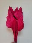 Photo 48/164