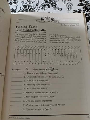 Julie the Wolves Literature Study Guide & Book Lot Homeschool Teacher Resource - Picture 6 of 14