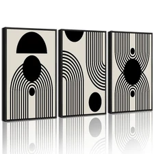 Drsoum Black and White Abstract Framed Wall Art Decor Duotone Minimal Dark Br...