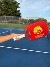 Pickleball paddle set PRIDE