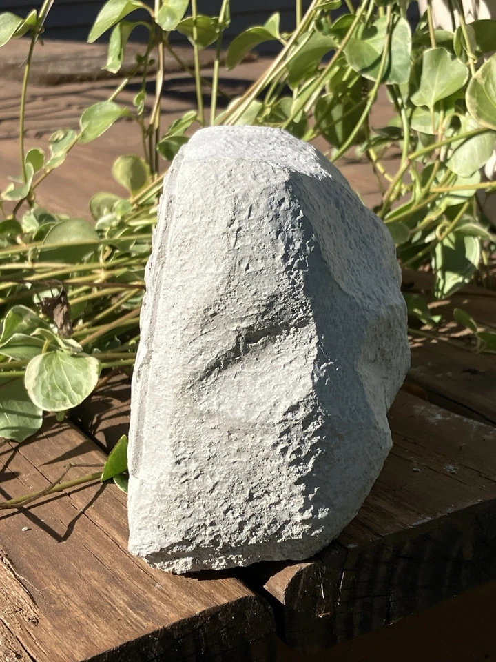 Estatuaria de jardín cemento hormigón en memoria amorosa árbol celta Foto 4 de 4