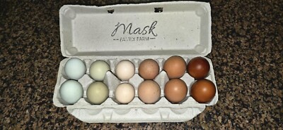 12 BYM Chicken Hatching Eggs - Silkies, Black Copper Maran, Ayam Cemani, BYM
