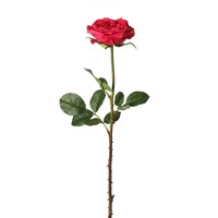 Charlton Home Open Garden Rose Stem Set Of 12 on sale Charlton Home Open Garden Rose Stem Set Of 12 on sale