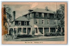 c1930's Big Tree Inn Building Scene Street Geneseo New York NY Vintage Postcard