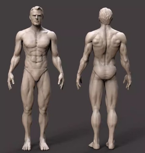 1/43 Miniature Scene Prop Male Body Muscle Coating Model Toy Ornament - Picture 3 of 3
