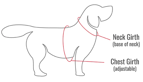 Pet Dog Shirt - "I'D HIT THAT" - Lg - See Listing for Measurements - FUNNY! 10z - Picture 3 of 3