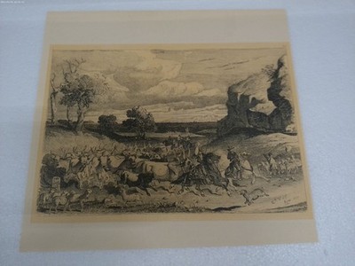 After Charles Coleman Roman Countryside Herd Scene Etching Print Roma 1850