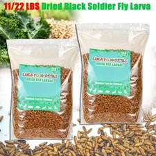 Dried Black Soldier Fly Larva High Calcium Treats for Chickens Birds Duck US