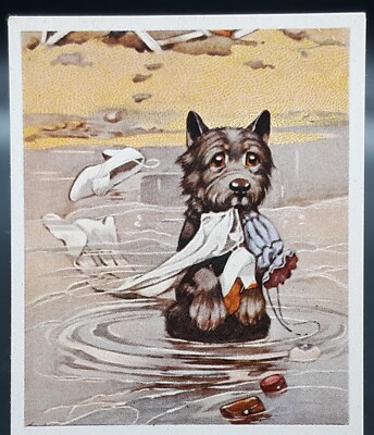 Rare Antique Cigarette Card Lost Dog Gran Pop Lawson Wood Puppy Tails Terrier