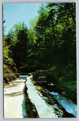Mile Point Bridge Watkins Glen New York In The Finger Lakes Vintage Postcard