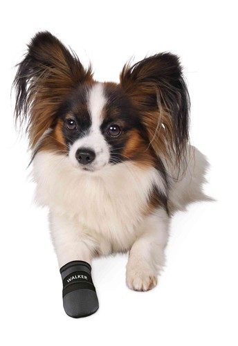 Walker Care Protective Dog Boots by Trixie dog boots,new sizes S (1956) - Picture 3 of 4