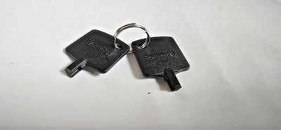 OEM Synology NAS or Expansion Disk Drive Tray Bay Keys (2-Pack, w/rings)