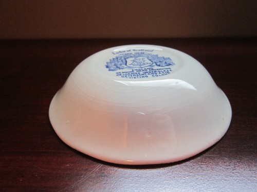DE COLECCIÓN LOCHS OF SCOTLAND 5" NATILLAS DE BAYAS TAZÓN DE POSTRE LOCH NESS ROYAL WARWICK - Imagen 6 de 9