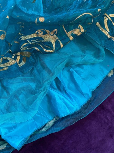 Disney Store ☆ Valiente ☆ Vestido/Disfraz Princesa Mérida Azul - Niños Talla 7-8 - Imagen 6 de 7