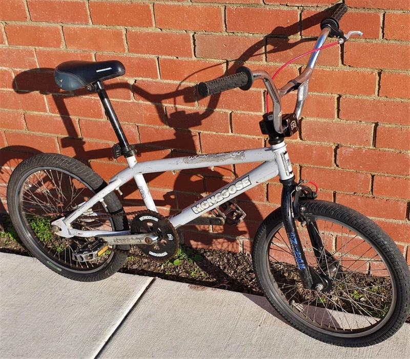 mongoose pro dx 3.1
