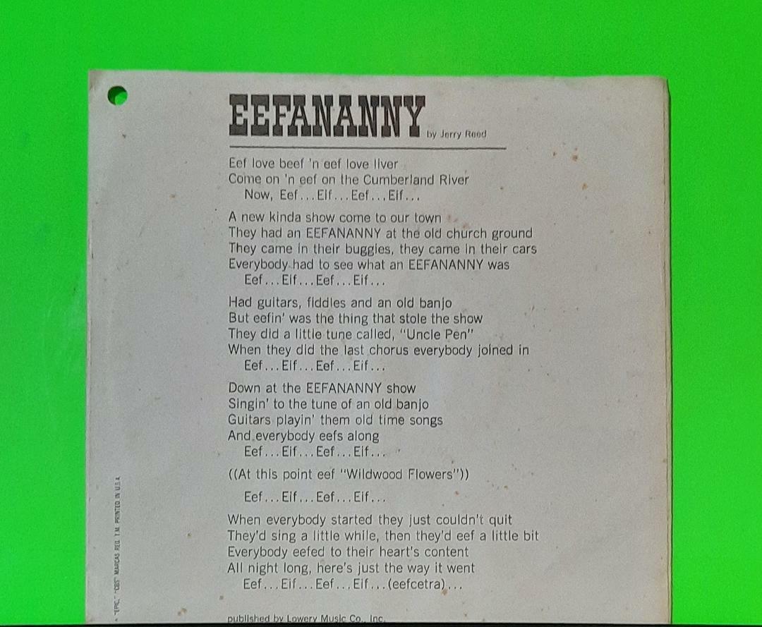 ARDELLS EEFANANNY ODDBALL GARAGE ROCK PROMO 45 RPM RECORD | eBay