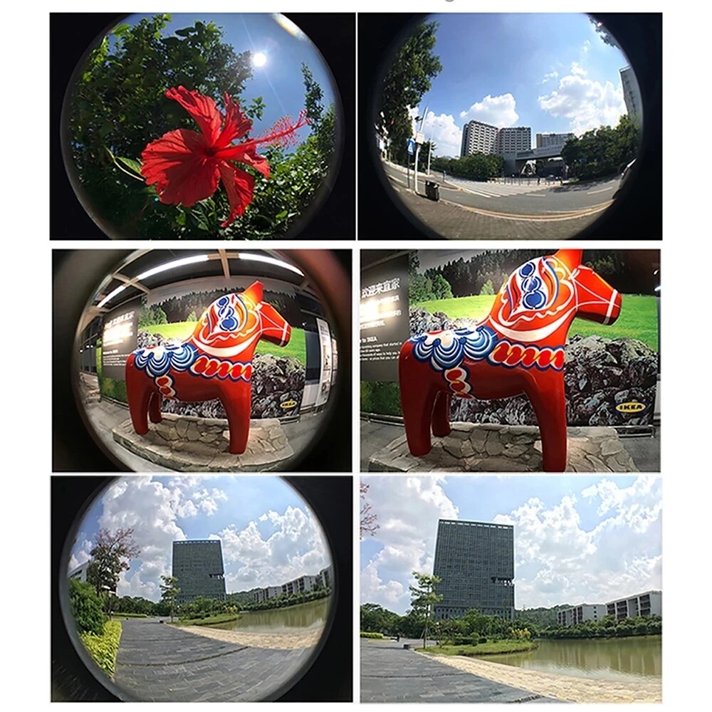 Picture 9 of 16