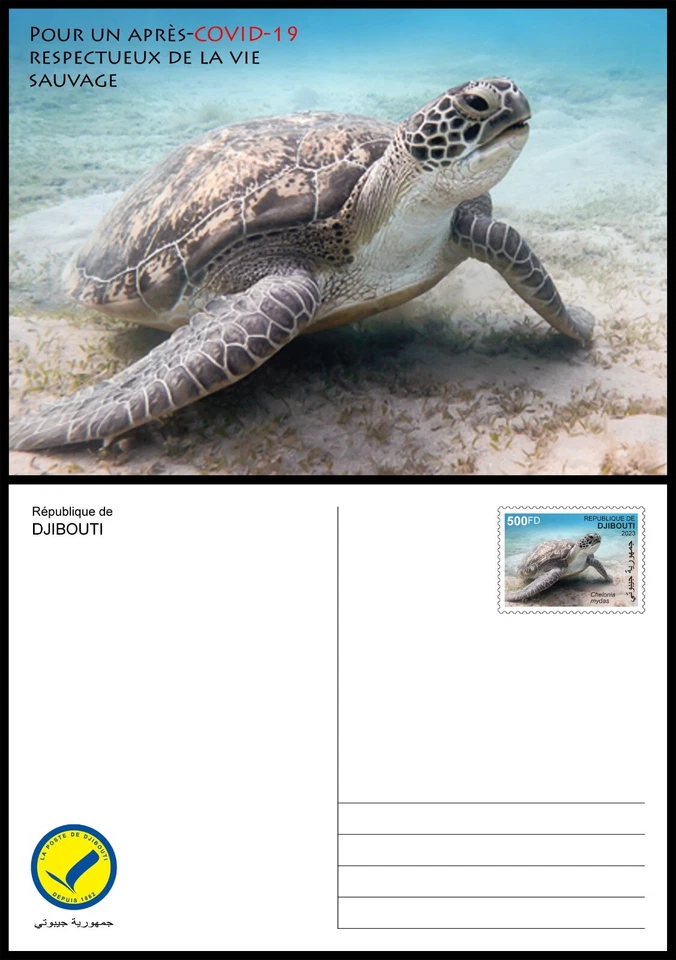 DJIBOUTI 2023 STATIONERY CARD - TURTLES TORTUES TURTLE - PANDEMIC - Photo 1/2
