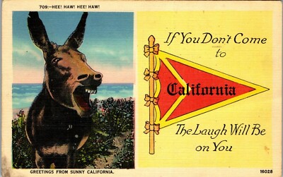 Vintage California CA Pennant Postcard 1942 Donkey Humor Hew! Haw!