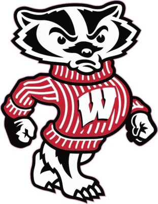 WISCONSIN BUCKY BADGER Mini FOOTBALL HELMET DECALS