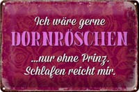 Blechschild Spruch 30X20Cm Ich Gerne DornröSchen Ohne Prinz Deko Schild Tin Sign