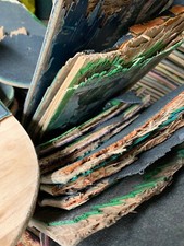 Set Of 4 Broken Skateboard Decks For DIY Art Project FREE SHIPPING wood Recycle