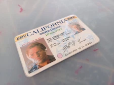 Back to the Future Biff  1985 Driver License Prop Cosplay Prop Cosplay Novelty