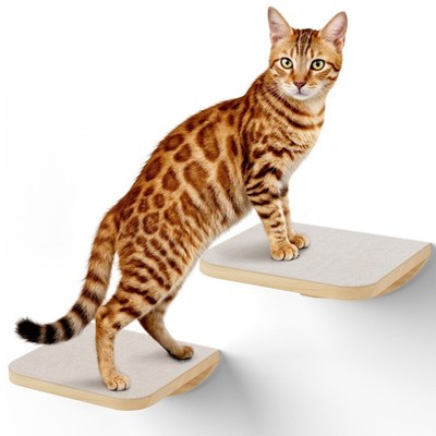 Wall Mounted Cat Steps 2 Pack   Square Wood Cats Shelves with Felt Cushions for