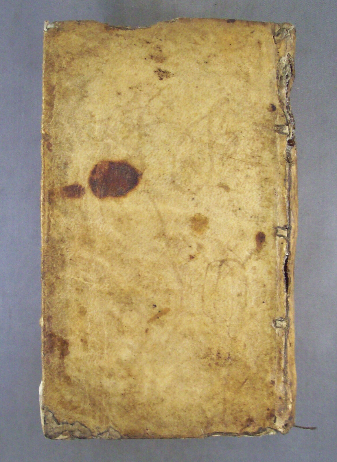 Bild 11 von 12