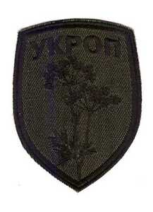 Tactical Morale Army Patch Ukrop Укроп Ukrainian Resistance Dill Camouflag