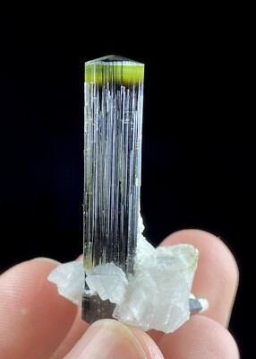 Beautiful Green Cape Tourmaline Crystal With Matrix From Pakistan 65 CTS