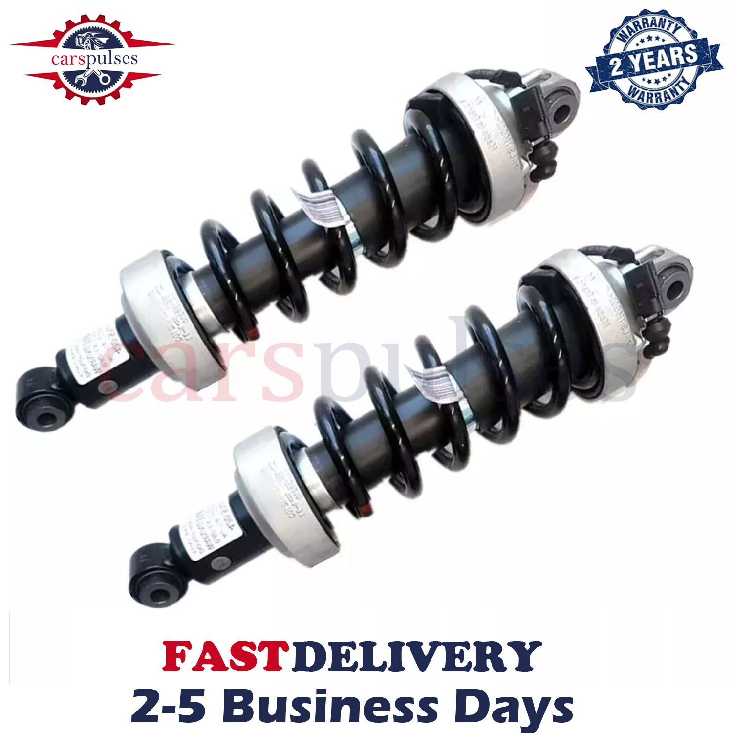 2X Rear Left Right Shock Absorber Strut MagneRide For Audi R8 V8 V10 2007-2015